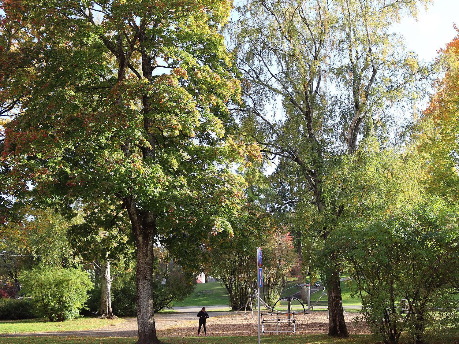Hostel Louna Пярну Екстериор снимка